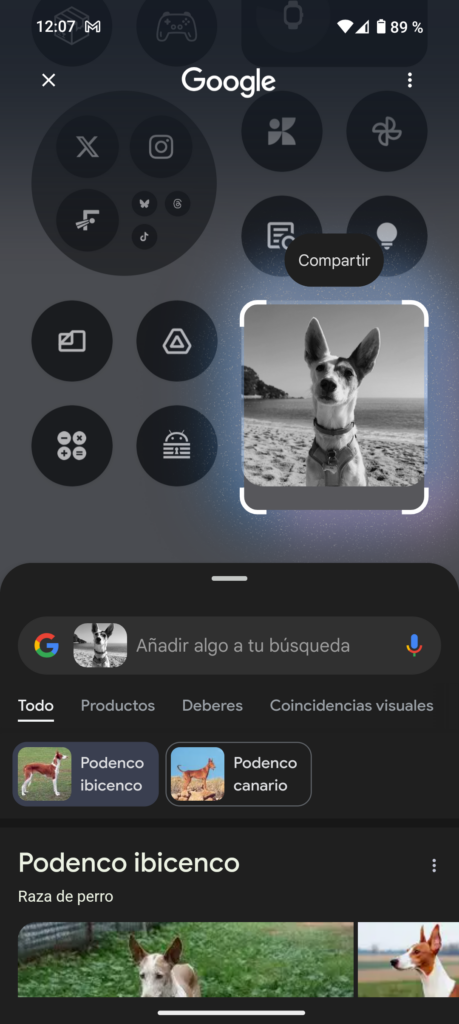 Funcionamiento del "Circle to search" de Google Android en NothingOS