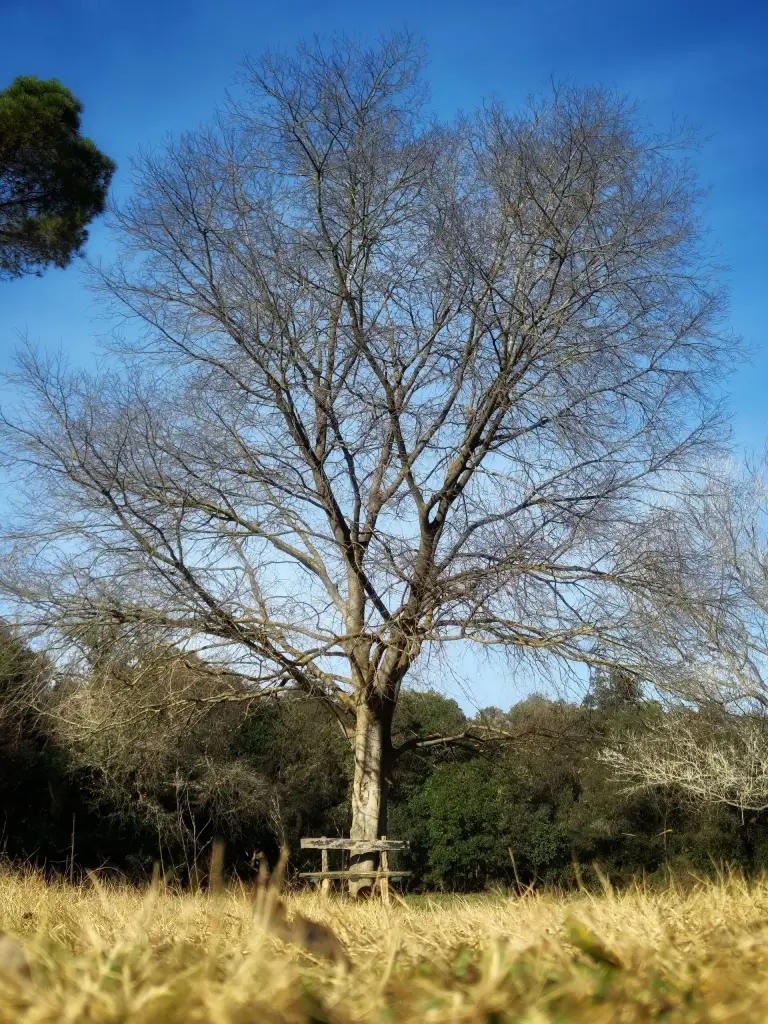 Foto realizada para el análisis de la cámara del teléfono Nothing Phone 2