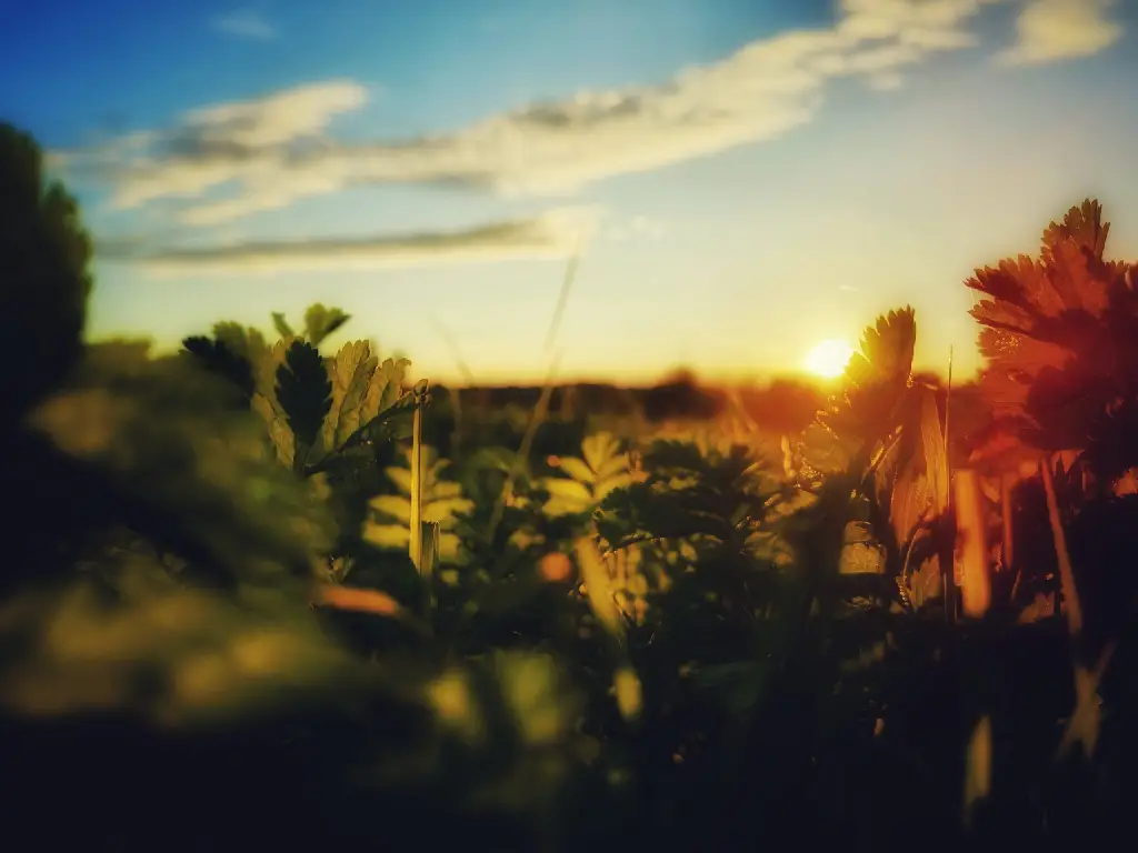 Foto realizada para el análisis de la cámara del teléfono Nothing Phone 2