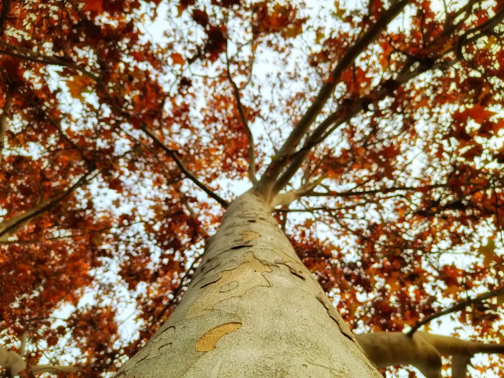 Foto realizada para el análisis de la cámara del teléfono Nothing Phone 2