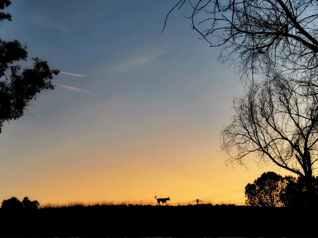 Foto realizada para el análisis de la cámara del teléfono Nothing Phone 2