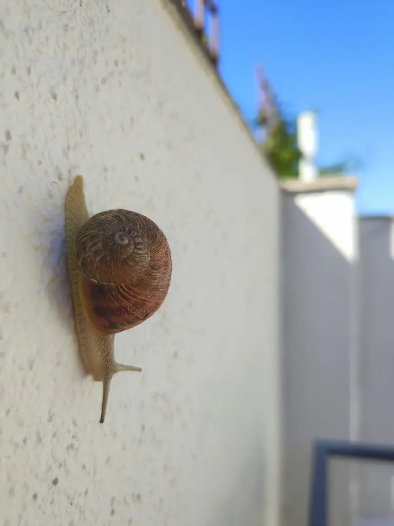 Foto realizada para el análisis de la cámara del teléfono Nothing Phone 2