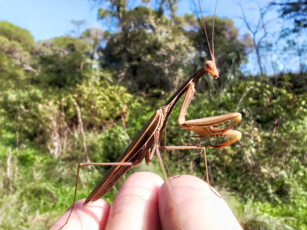 Foto realizada para el análisis de la cámara del teléfono Nothing Phone 2