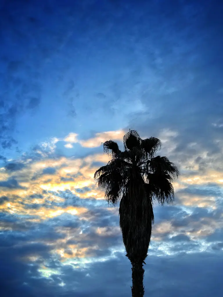 Foto realizada para el análisis de la cámara del teléfono Nothing Phone 2