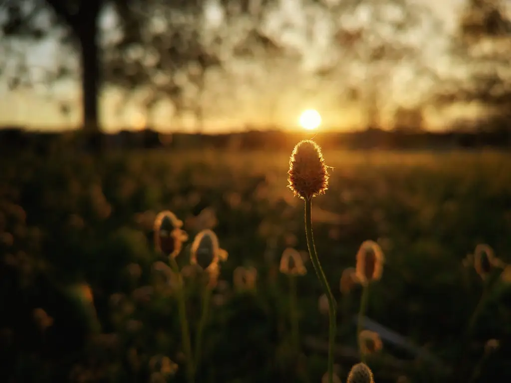 Foto realizada para el análisis de la cámara del teléfono Nothing Phone 2