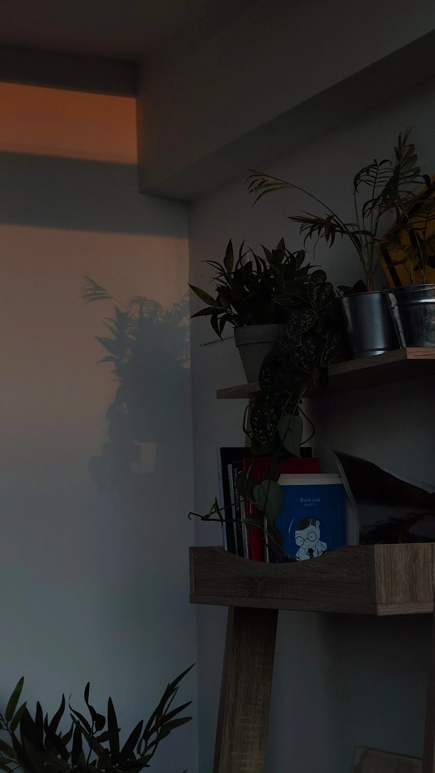 Análisis Nothing Phone (3a) Pro por PalmixArt