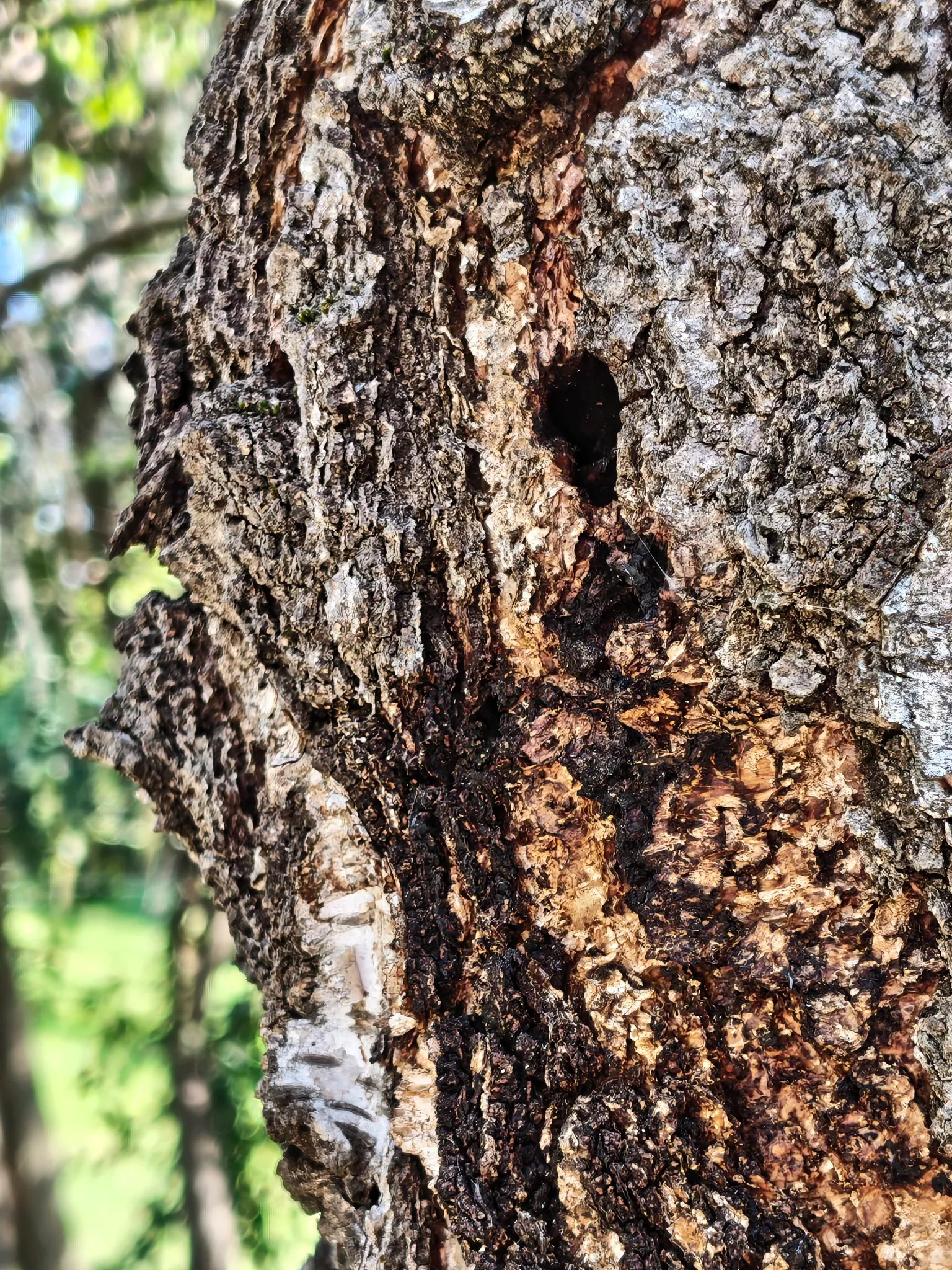 Fotos Nothing Phone (4a) Pro