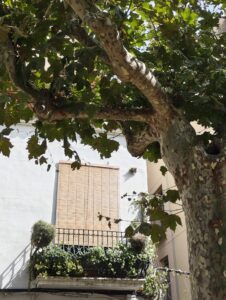 fotografía tomada con el nothing phone (4b)